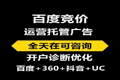 SEM搜索引擎优化案例：如何提升网站流量和转化率
